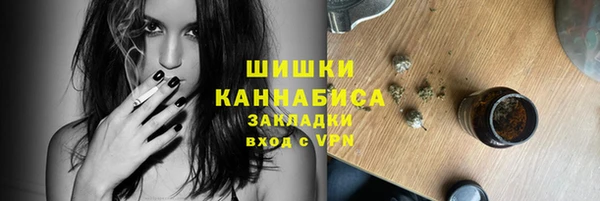 ПСИЛОЦИБИНОВЫЕ ГРИБЫ Балабаново
