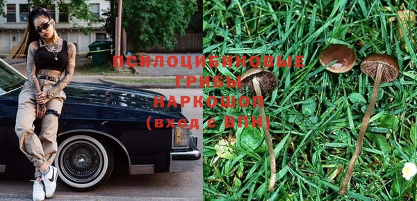 прущая мука Белокуриха