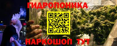 стафф Аша