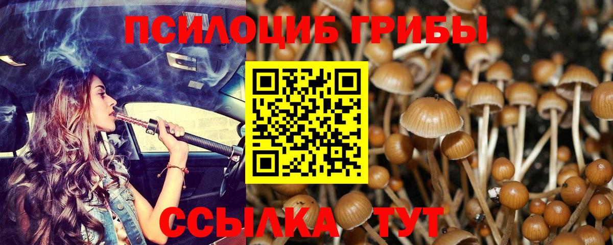Псилоцибиновые грибы GOLDEN TEACHER Вязники