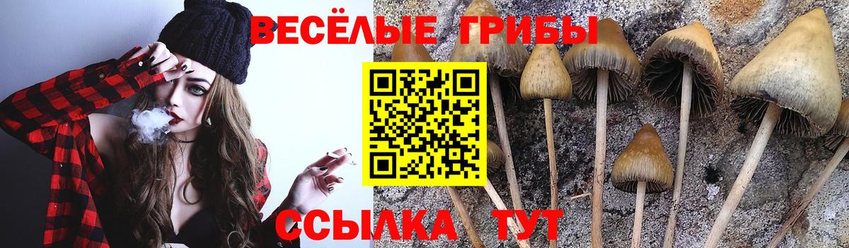 где купить наркоту  Галлюциногенные грибы Cubensis  Галлюциногенные грибы мухоморы  Вход с VPN  Вязники 